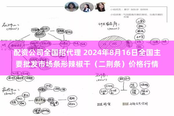 配资公司全国招代理 2024年8月16日全国主要批发市场条形辣椒干（二荆条）价格行情