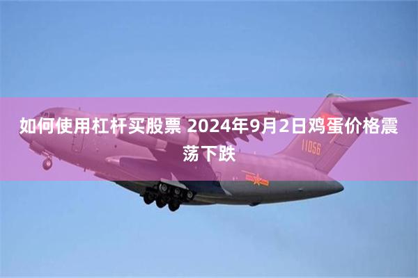 如何使用杠杆买股票 2024年9月2日鸡蛋价格震荡下跌