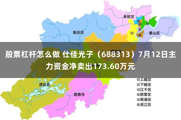 股票杠杆怎么做 仕佳光子（688313）7月12日主力资金净卖出173.60万元