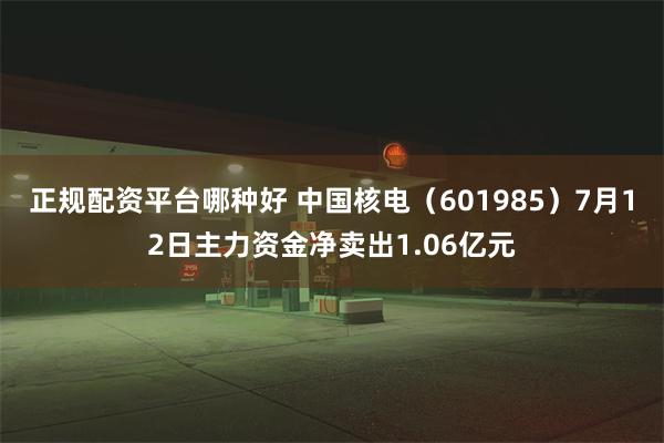 正规配资平台哪种好 中国核电（601985）7月12日主力资金净卖出1.06亿元