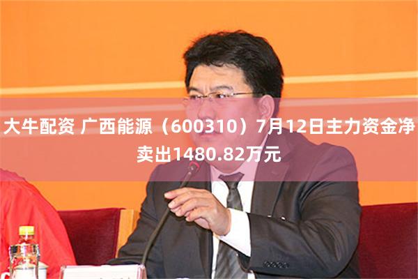 大牛配资 广西能源（600310）7月12日主力资金净卖出1480.82万元