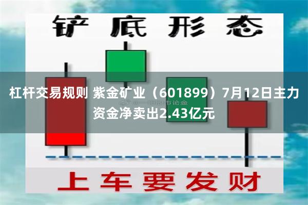 杠杆交易规则 紫金矿业（601899）7月12日主力资金净卖出2.43亿元