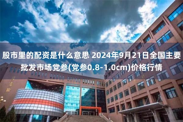 股市里的配资是什么意思 2024年9月21日全国主要批发市场党参(党参0.8-1.0cm)价格行情