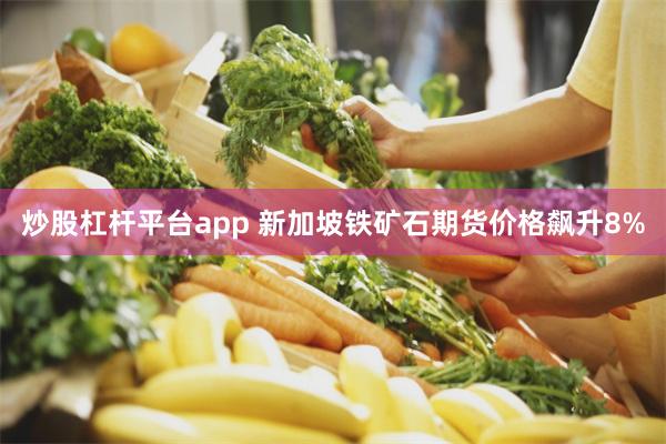 炒股杠杆平台app 新加坡铁矿石期货价格飙升8%