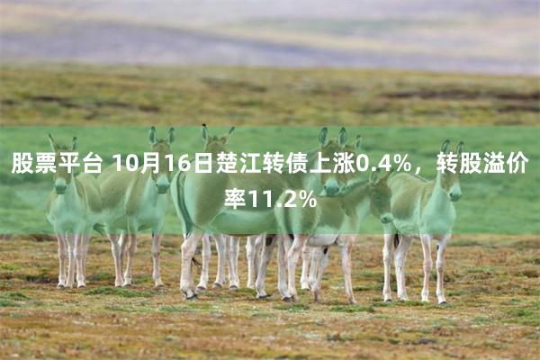 股票平台 10月16日楚江转债上涨0.4%，转股溢价率11.2%