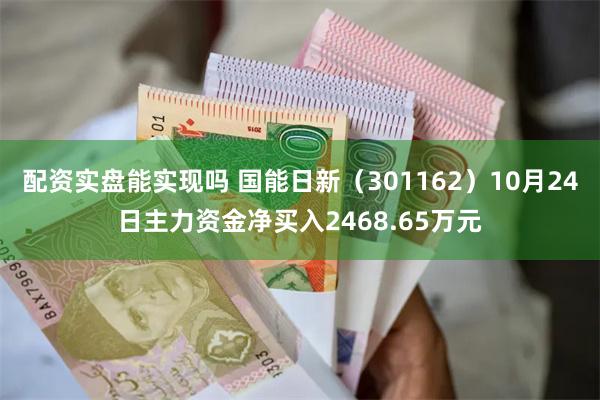 配资实盘能实现吗 国能日新（301162）10月24日主力资金净买入2468.65万元