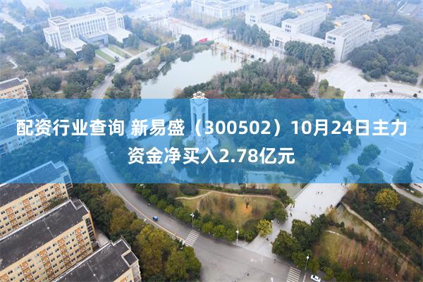 配资行业查询 新易盛（300502）10月24日主力资金净买入2.78亿元