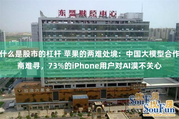 什么是股市的杠杆 苹果的两难处境：中国大模型合作商难寻，73%的iPhone用户对AI漠不关心