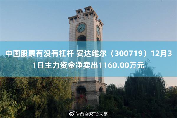 中国股票有没有杠杆 安达维尔（300719）12月31日主力资金净卖出1160.00万元