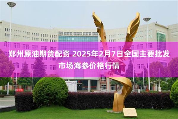 郑州原油期货配资 2025年2月7日全国主要批发市场海参价格行情